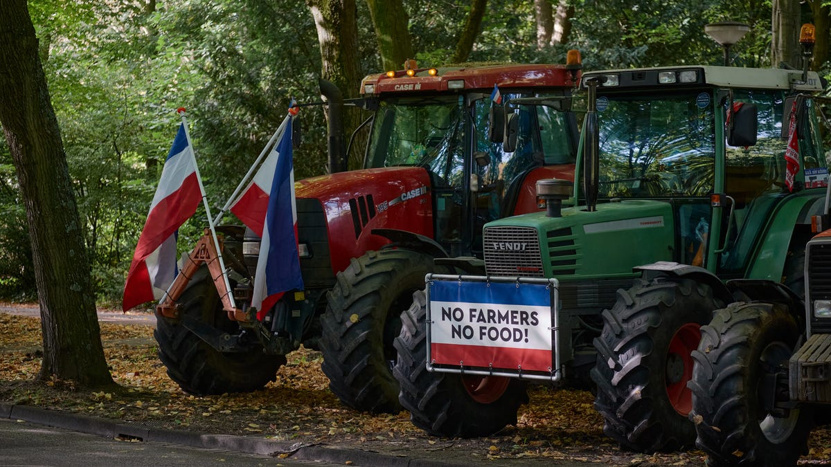 How Farmers' Protest Party BBB Won Big In The Dutch Election