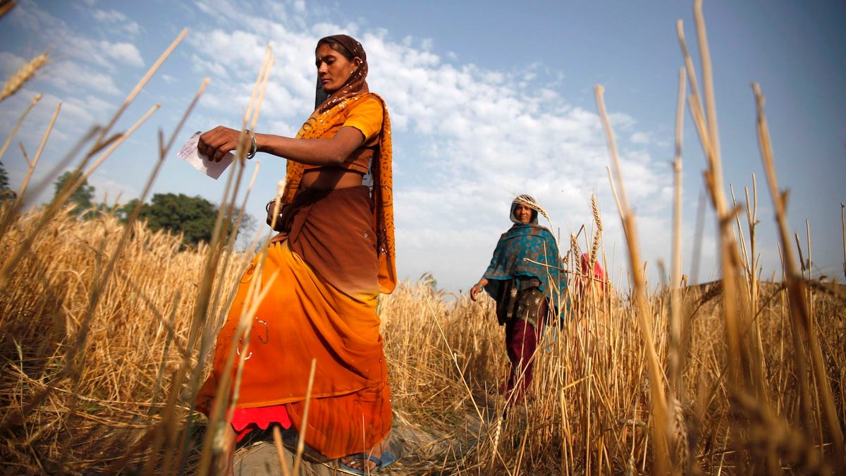 We Refused To Tell People In This Bihar Village That They Need Help. It ...