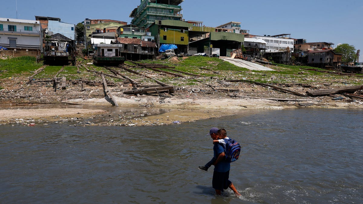 Brazil's  rainforest faces a severe drought that may affect around  500,000 people