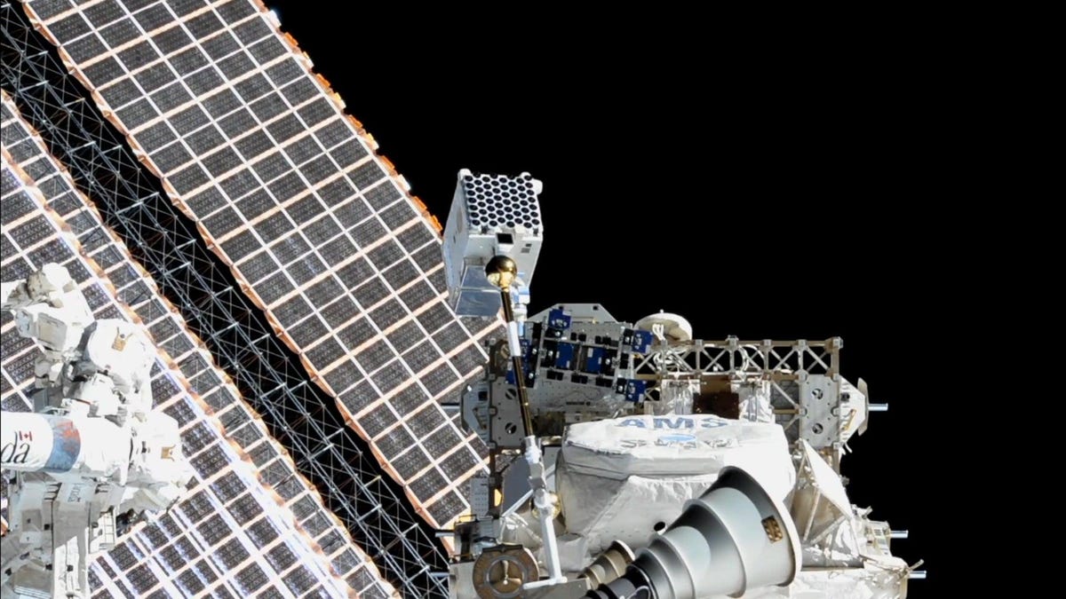 'An Exciting Challenge': NASA Plans Rare Repair Spacewalk to Fix Busted Telescope