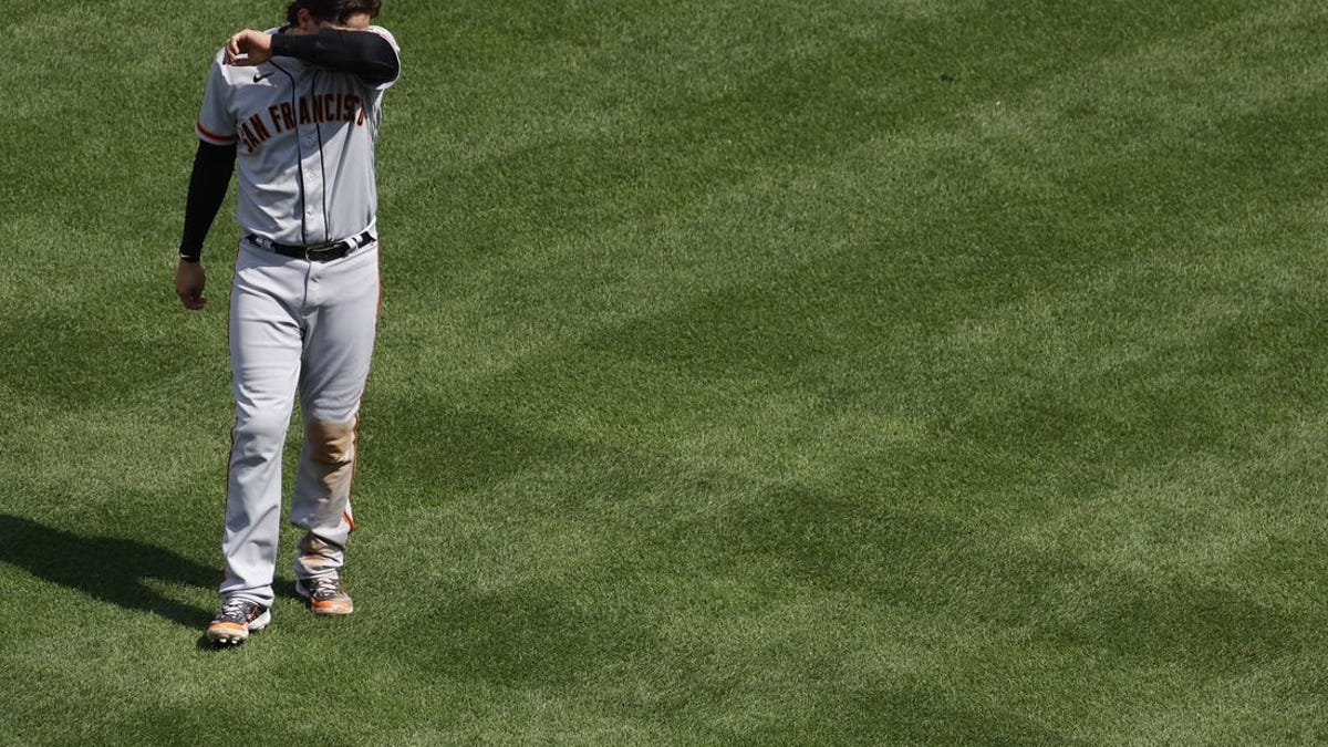 Detroit Tigers: Get to know right-hander pitcher Wilmer Flores