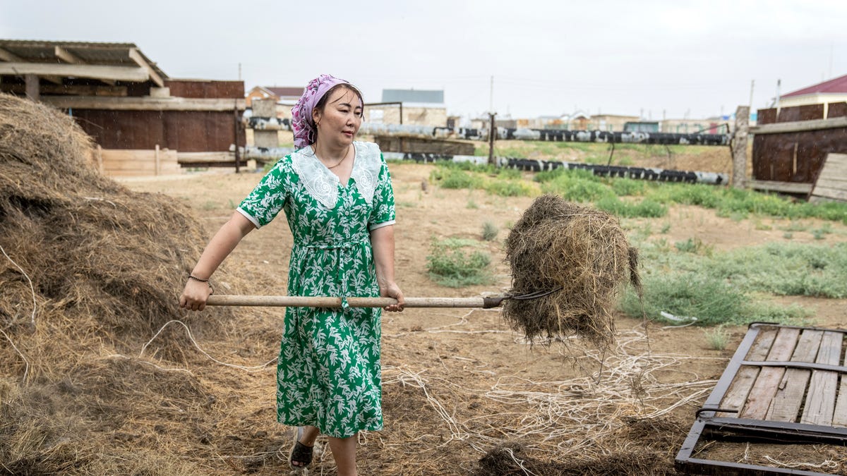 Climate change is fueling the disappearance of the Aral Sea. It's ...