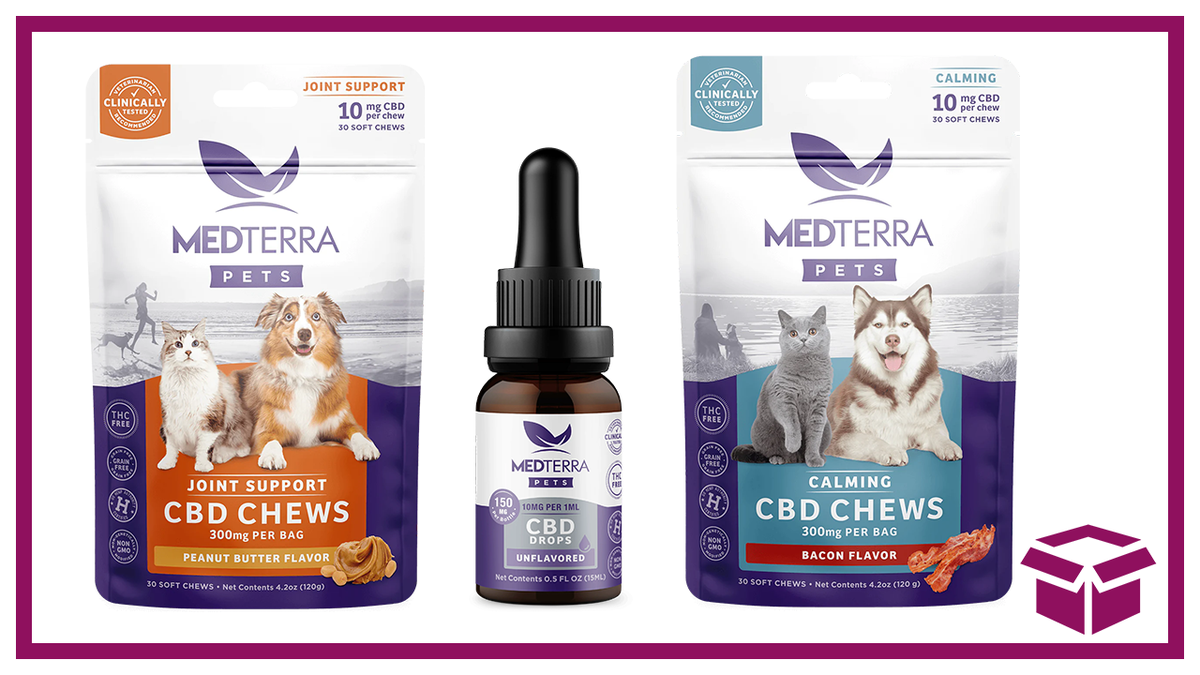 Top CBD Products for Pets by Medterra Top CBD Products for Pets by Medterra