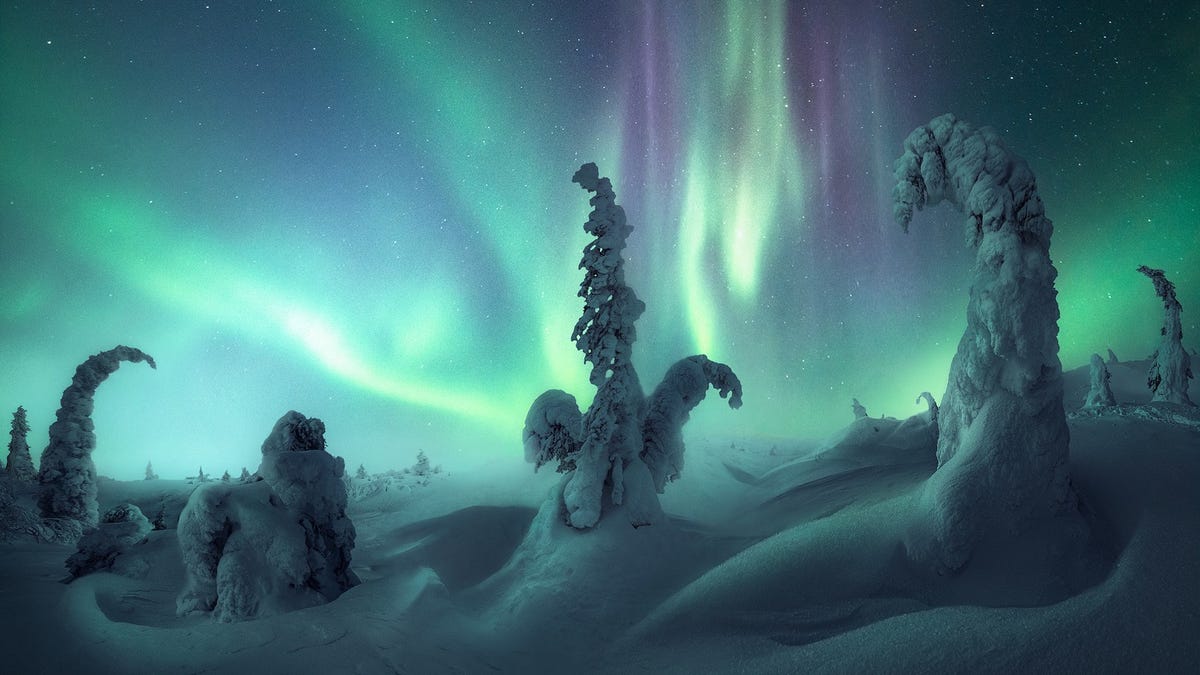 Northern lights: magic on our planet  What are they and how to see them? 