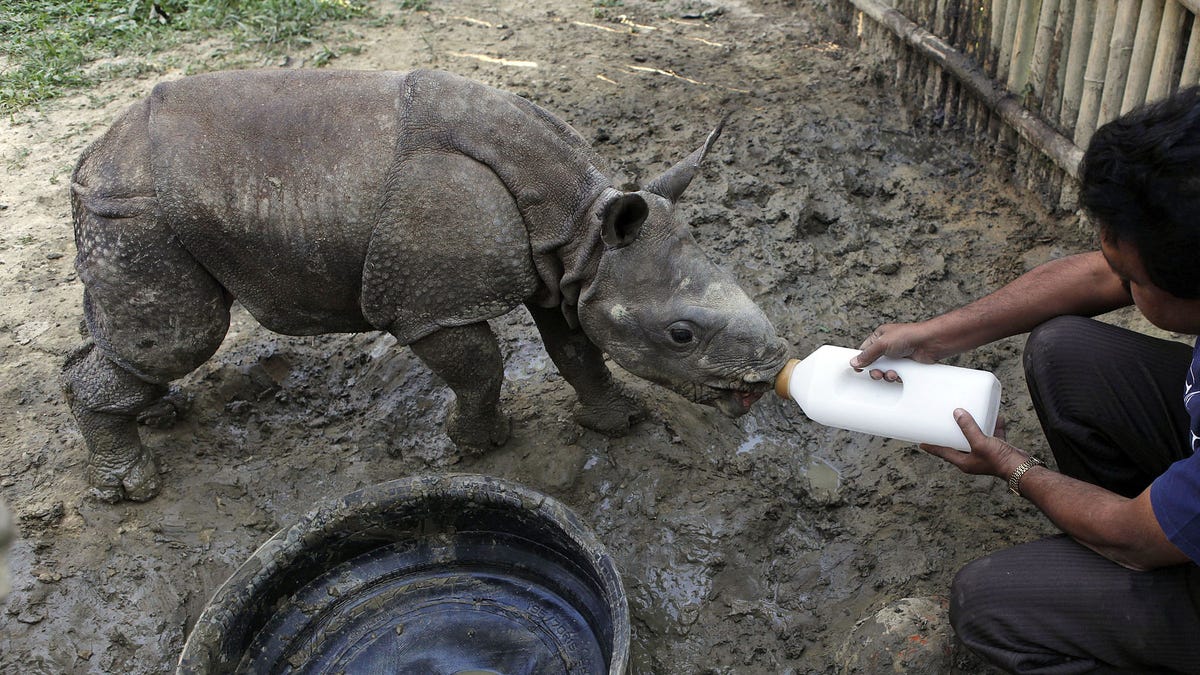 Not just for the Taliban anymore: drones are now tracking rhino poachers