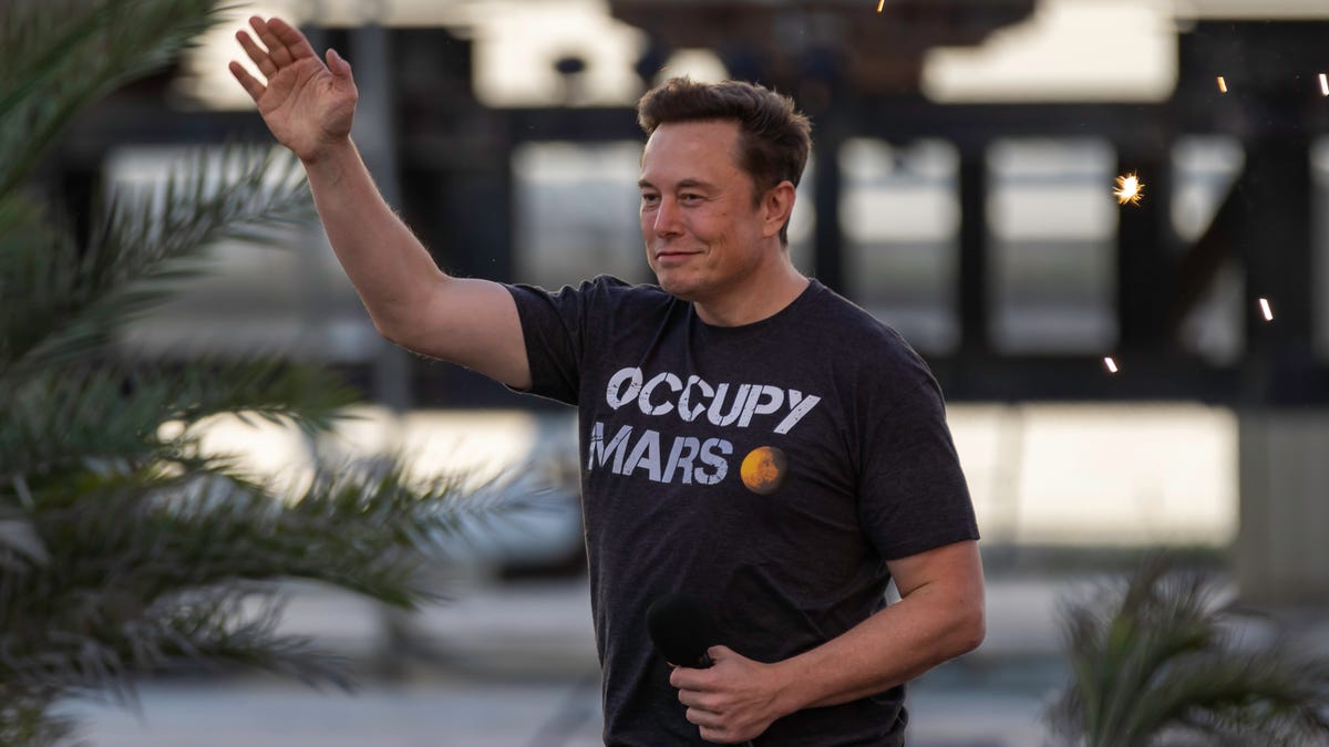 SpaceX will hit $15.5 billion in revenue this year, Elon Musk says