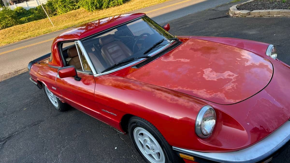 At ,900, Would You Buy This 1988 Alfa Romeo Spider Veloce?