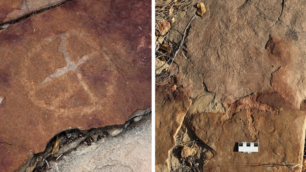 ブラジルで古代人類が恐竜の足跡の隣に絵を残した