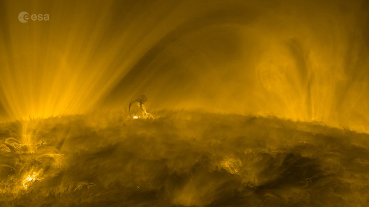 Un nuevo vídeo en primer plano muestra la superficie del sol como el infierno que siempre imaginamos que sería