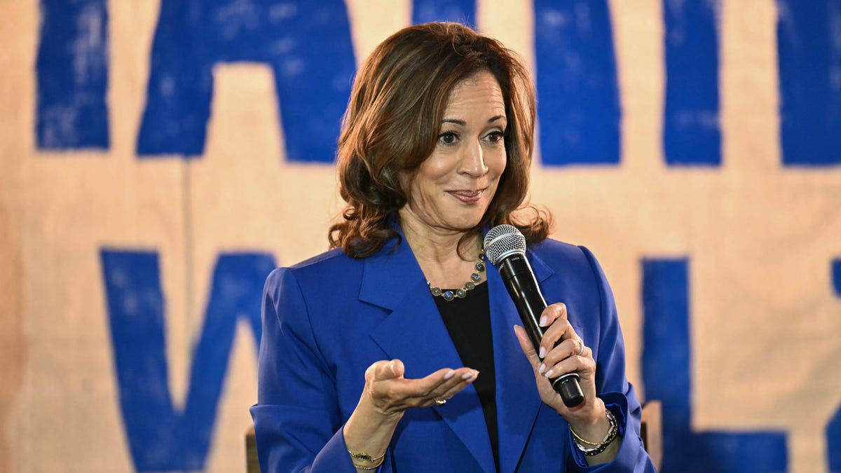 Strategist: Kamala Harris' ban on price gouging in the grocery trade is put on hold