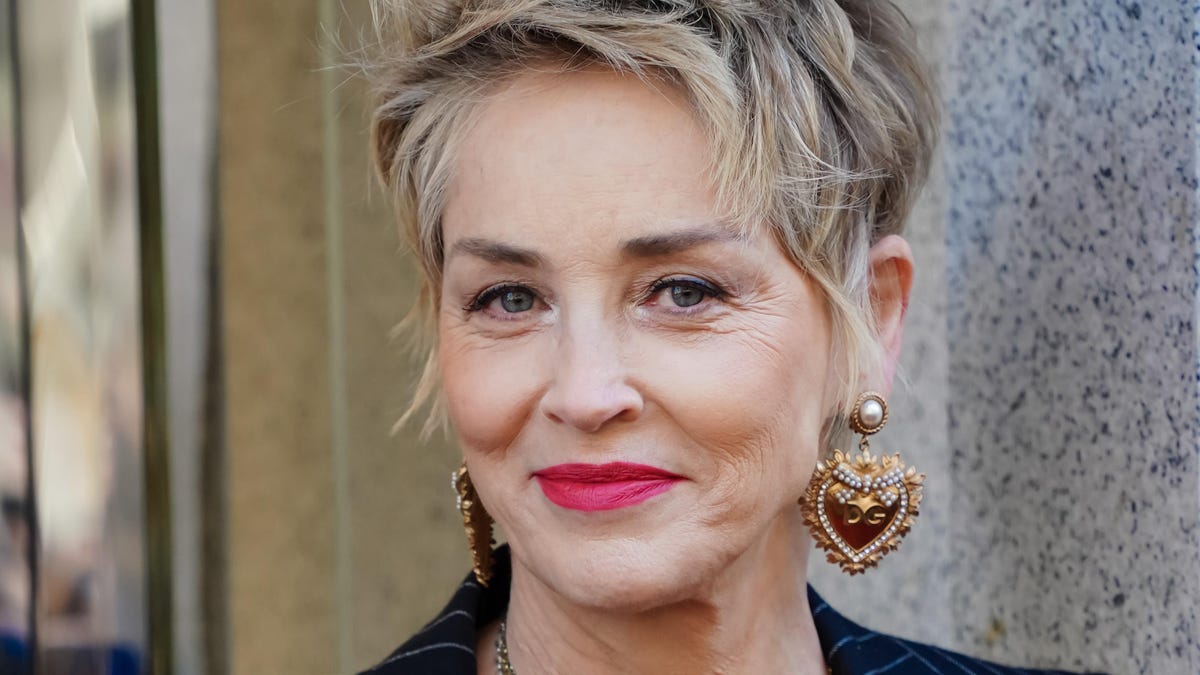 DC's Blue Beetle Movie: Sharon Stone In Talks For Villain Role