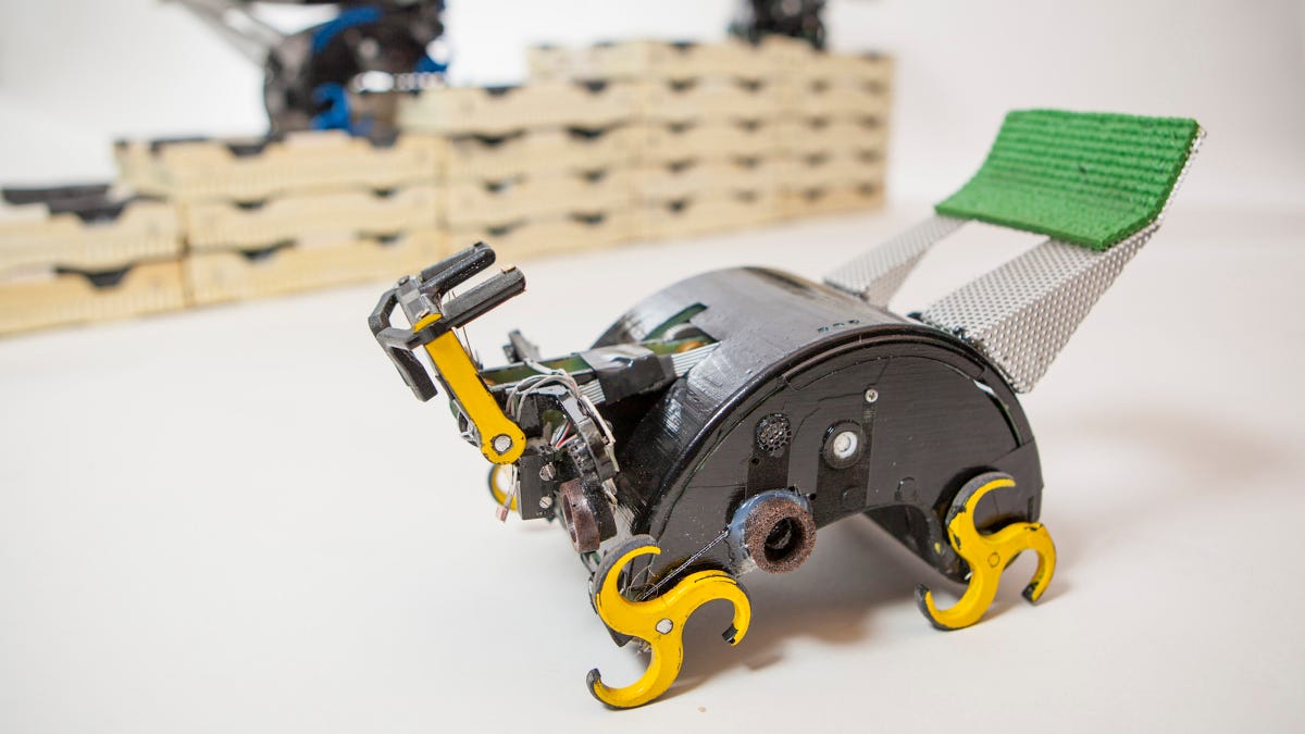 These adorable robots could someday put construction workers out of a job