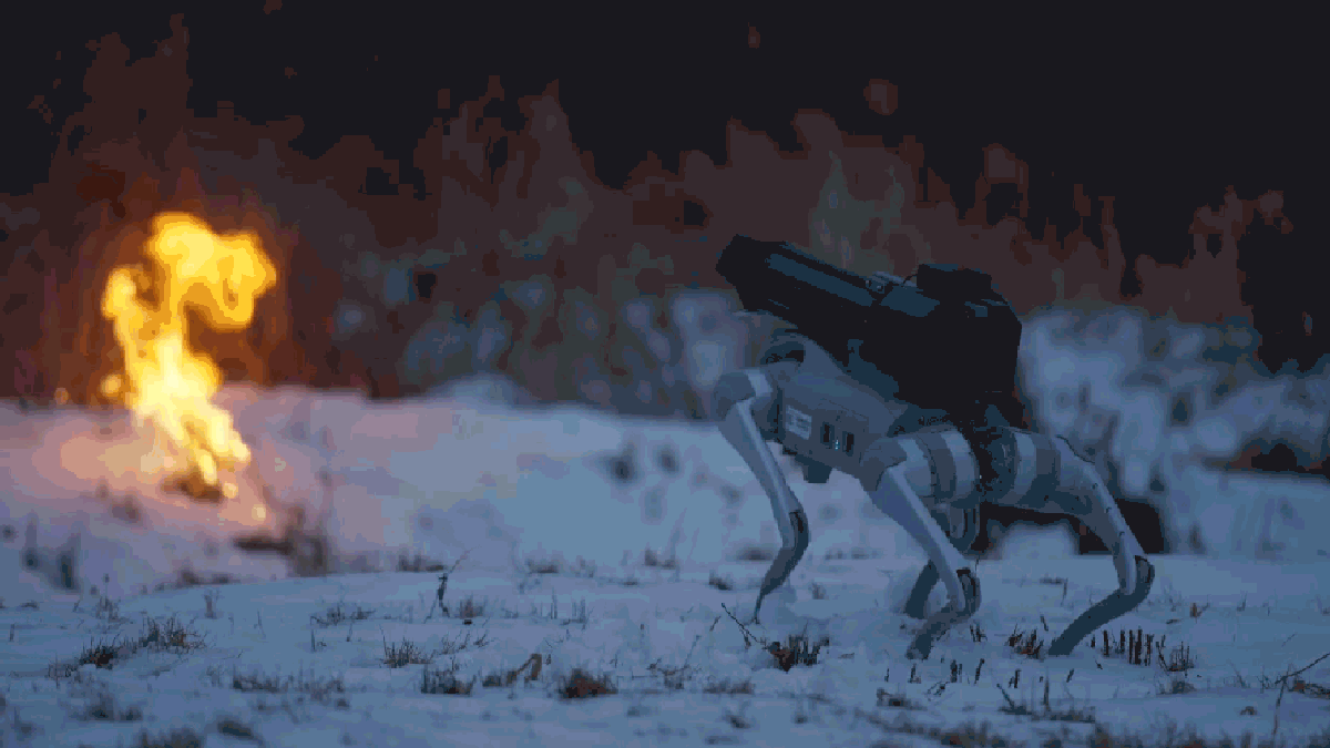 The year is 2024 and technology is doing incredible things. For the first time ever, you can purchase a walking robot dog with a flame thrower on its 