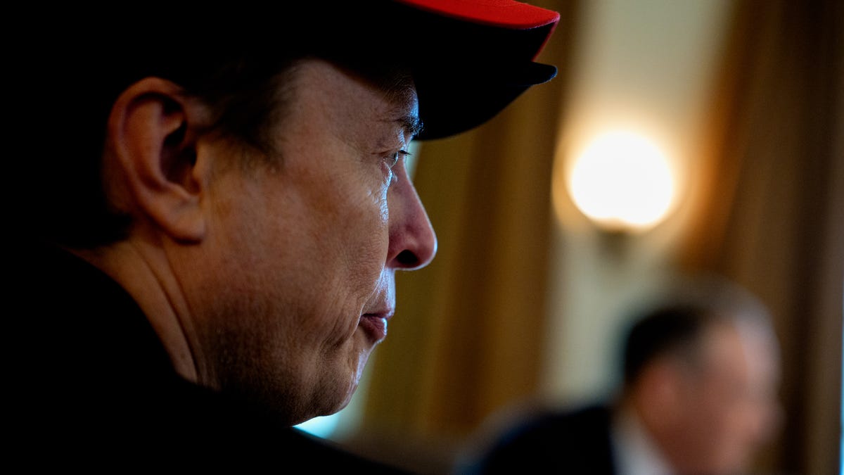 'DOGE is a way of life,' Elon Musk says. 'Like Buddhism'