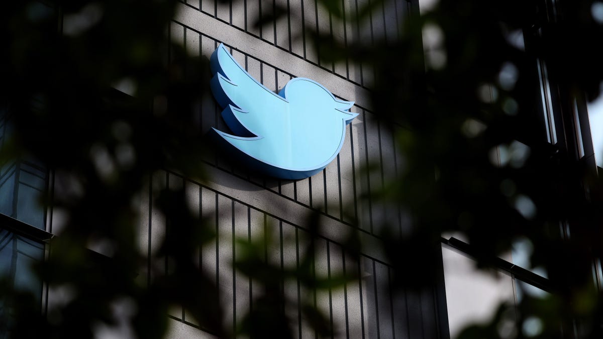 Twitter hired a team of tech critics to build ethical AI - Protocol