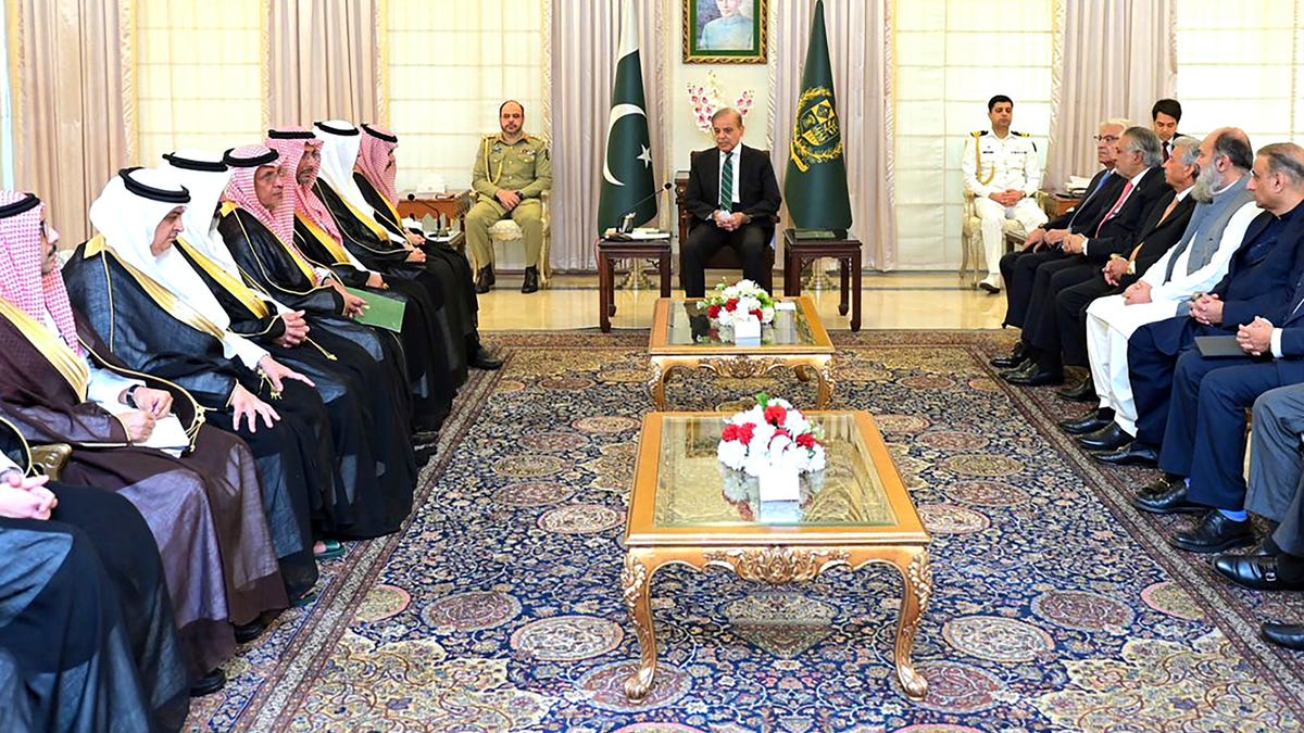 Pakistan and Saudi Arabia call for a cease-fire in Gaza, saying efforts