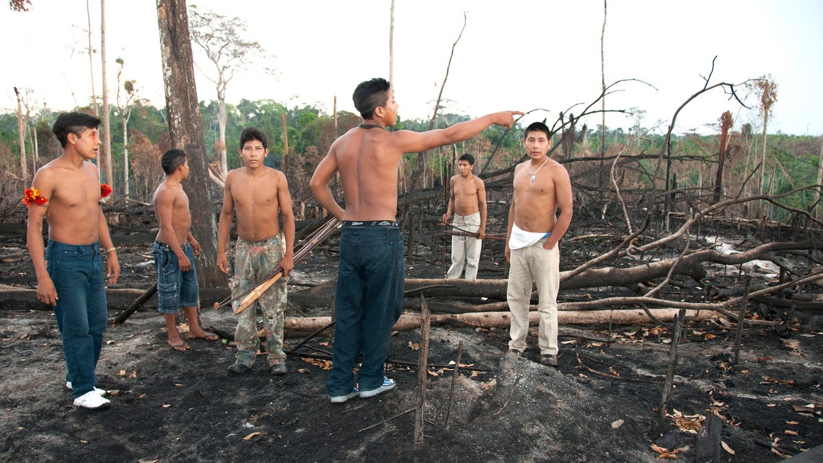 2020 fires endangering uncontacted  Indigenous groups