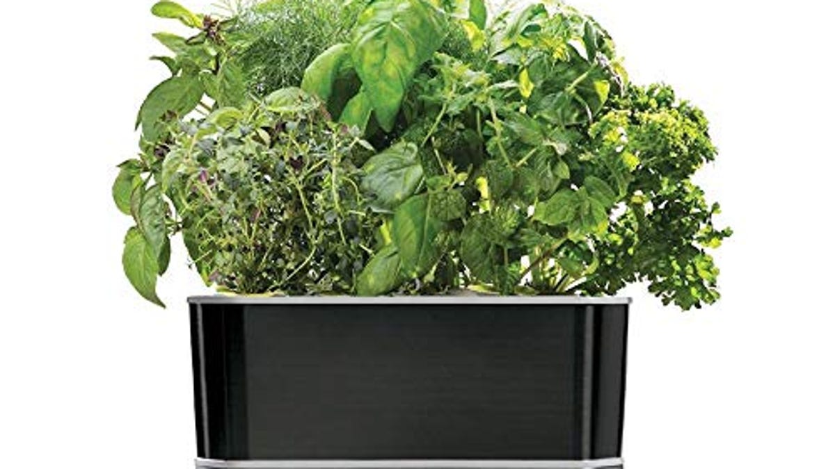 The AeroGarden Harvest Elite Indoor Garden Hydroponic System Is 56% Off ...