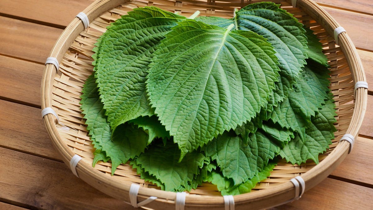 What Are Perilla Leaves and How Can I Cook With Them?