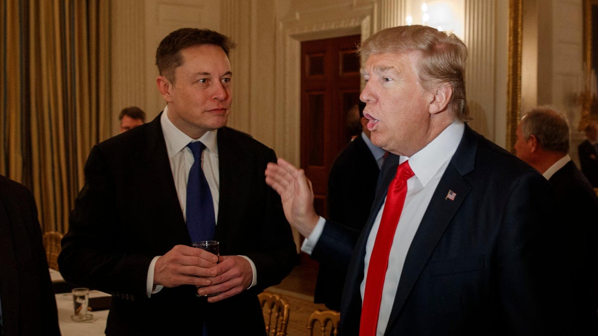 Elon Musk se reúne con Donald Trump en Florida mientras se avecinan las elecciones de 2024: informe