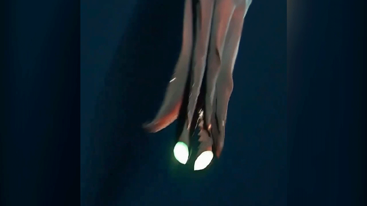 This Rare Predatory Deep-Sea Squid Has High-Beam Headlights