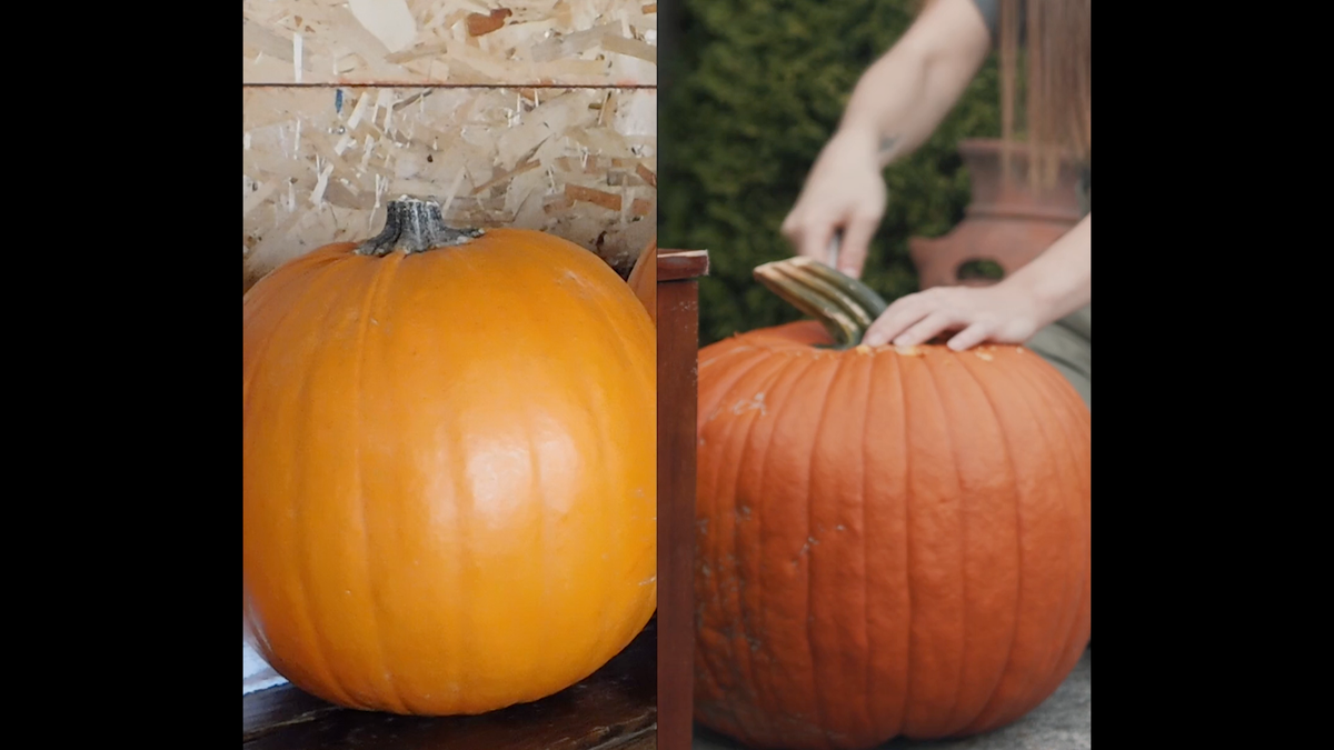 Pumpkin Reacts To Jack O Lantern Carving