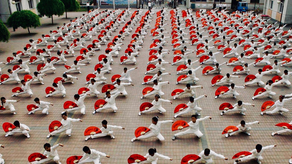 【楽天カード分割】 Mixed martial arts vs. tai chi case settled by court in China アイドルグッズ