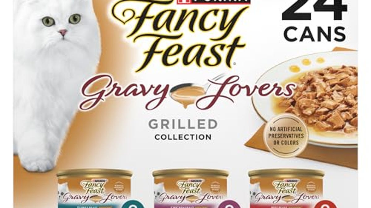 Purina Fancy Feast Gravy Lovers Poultry and Beef Gourmet Wet Cat Food ...