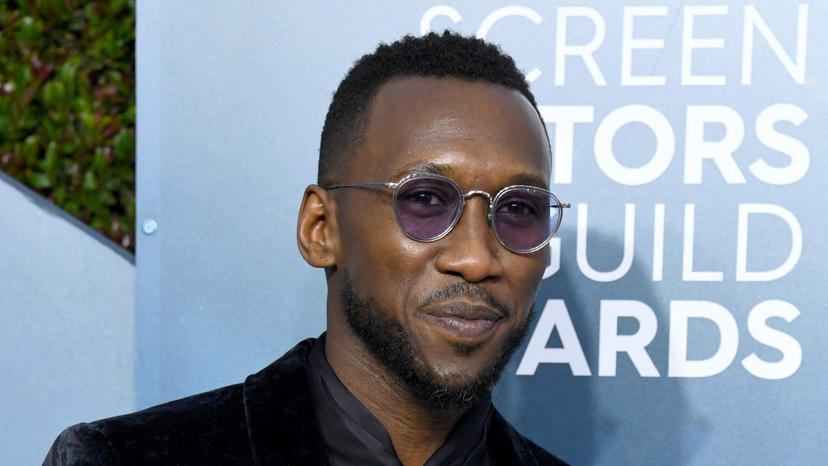 Netflix Movie From Mr. Robot Creator Will Star Mahershala Ali And Julia  Roberts