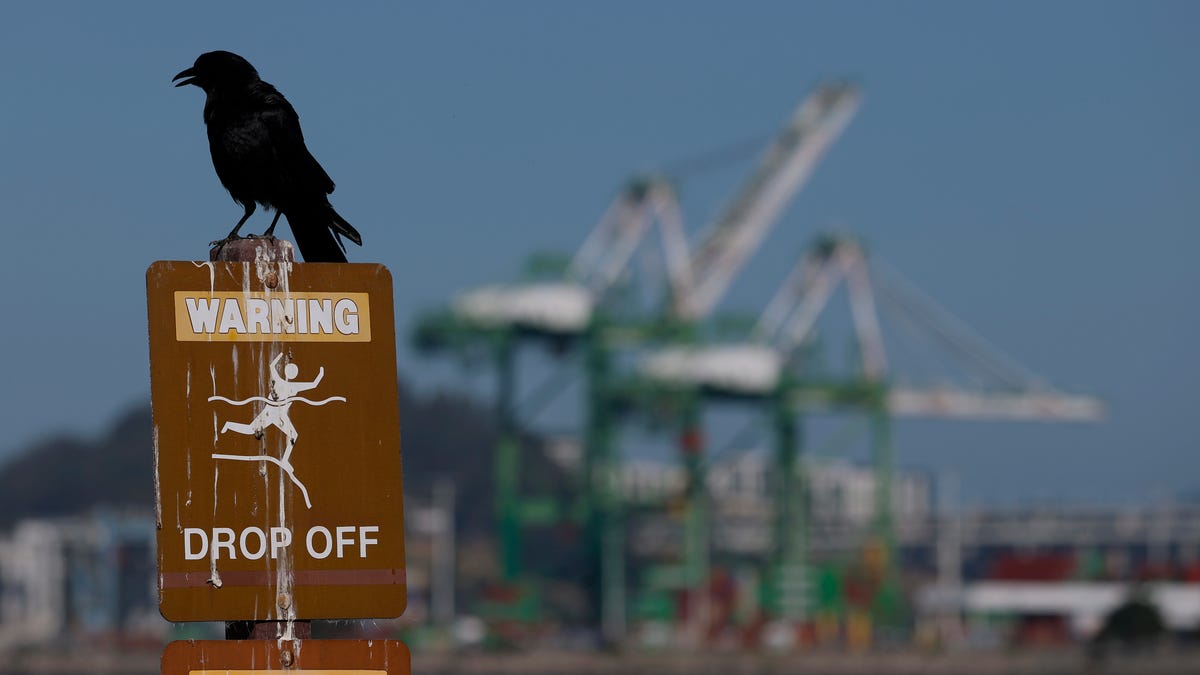 The U.S. trade war could mean 7 million fewer jobs globally, UN reports