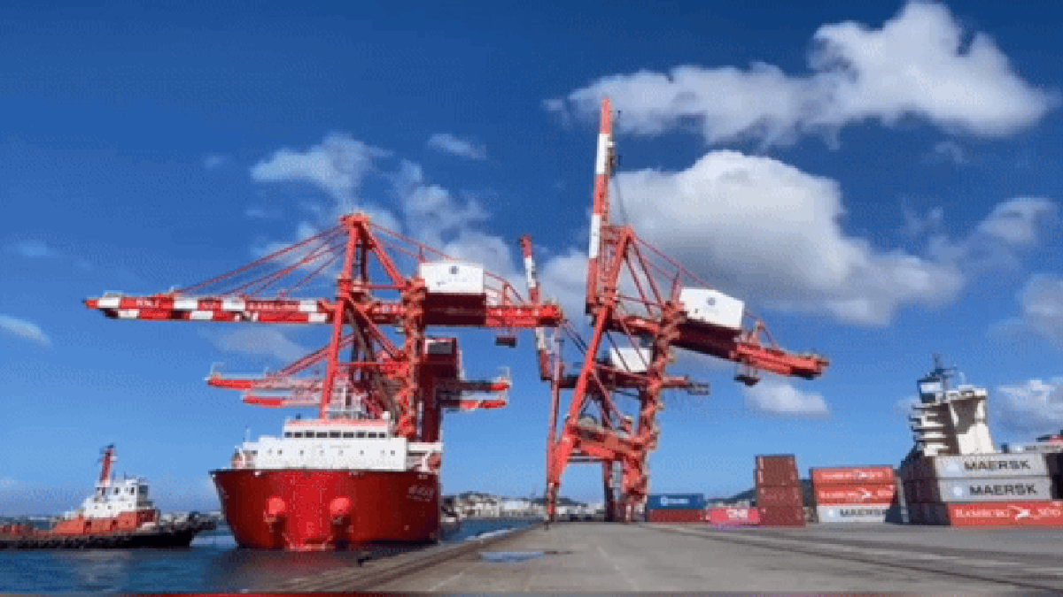 Dock Crane Collapses After Collision With Ship Carrying Replacement Cranes