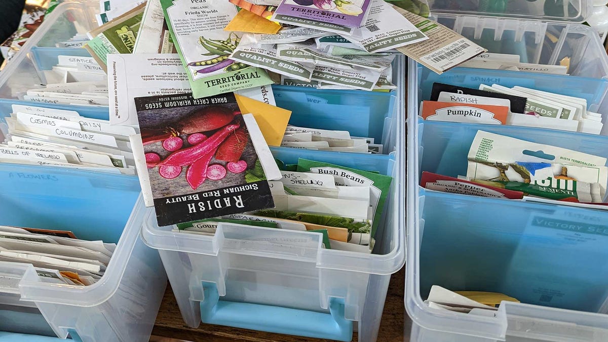 The Best Ways to Keep Seeds Organized and Stored All Year