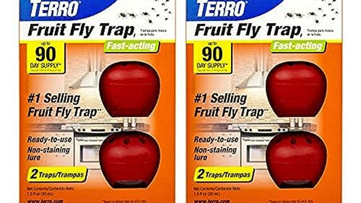 TERRO T2503SR Ready-to-Use Indoor Fruit Fly Killer and Trap with Built in  Window, Now 20% Off