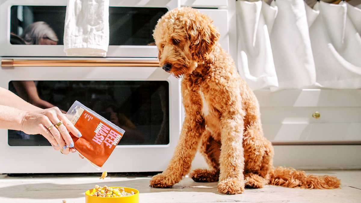 Upgrade Your Pup’s Meal Time With 50% off Your First Box of Nom Nom Dog Food