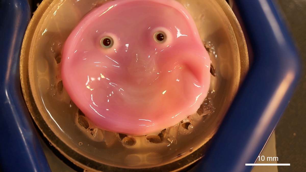 Scientists Make 'Living' Skin for Smiling Robots in Horrifying Vision of the Future
