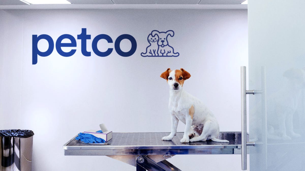 Petco store vet cost