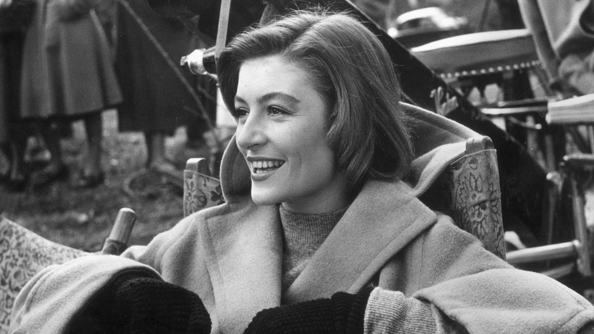 Renowned French Actress Anouk Aimພ: A Career in Film