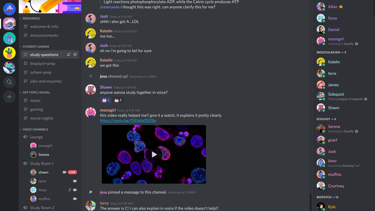 Public Meme Discord Servers