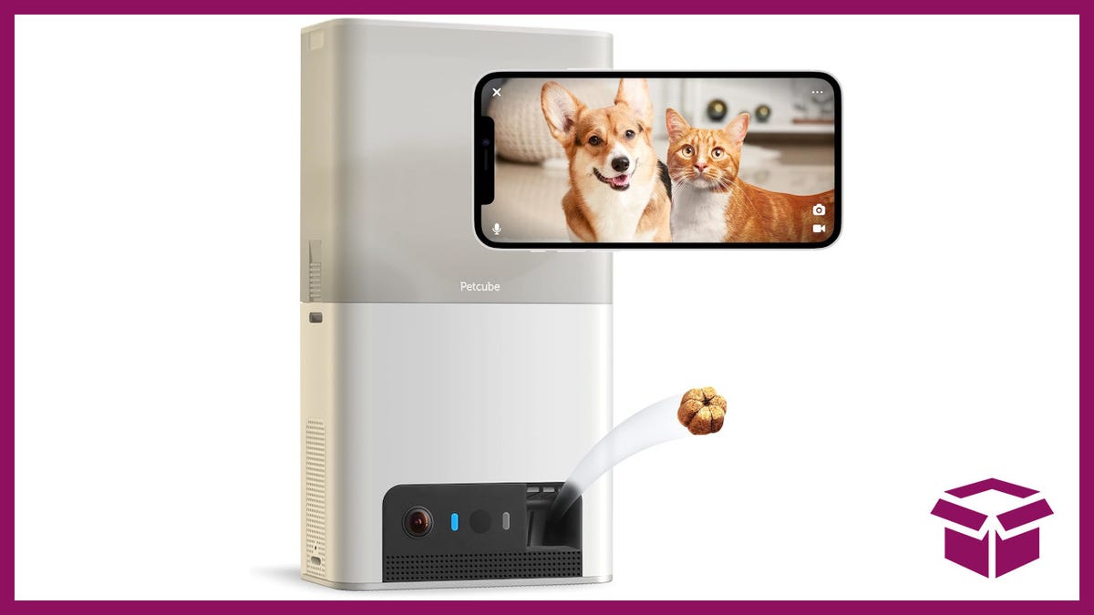 Hang Out With Your Pet When You're Not Home With This Pet Camera