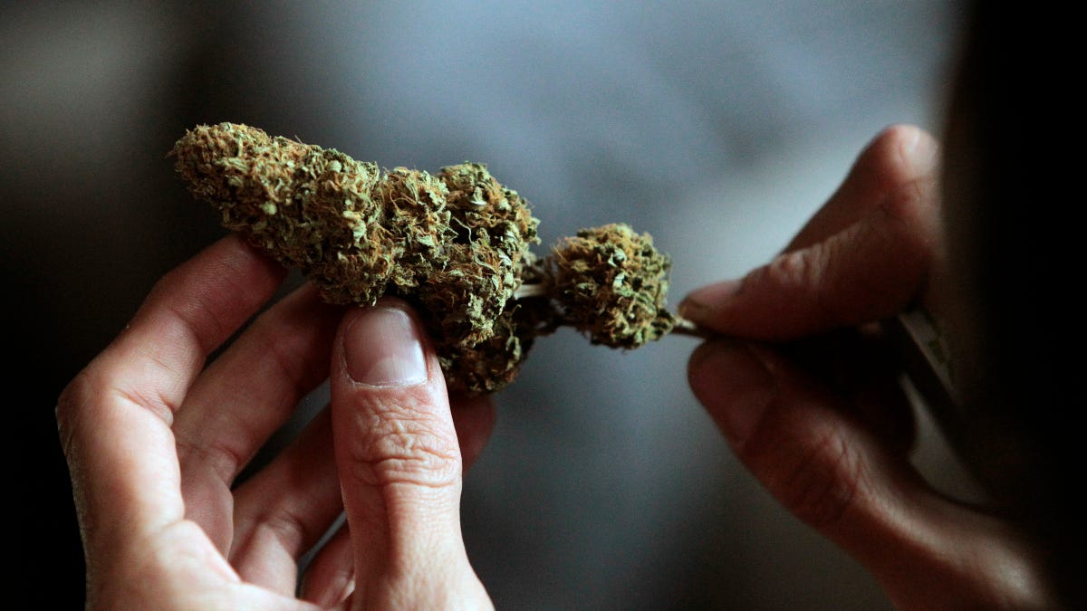 Uruguay is about to legalize marijuana, and its government will reap ...