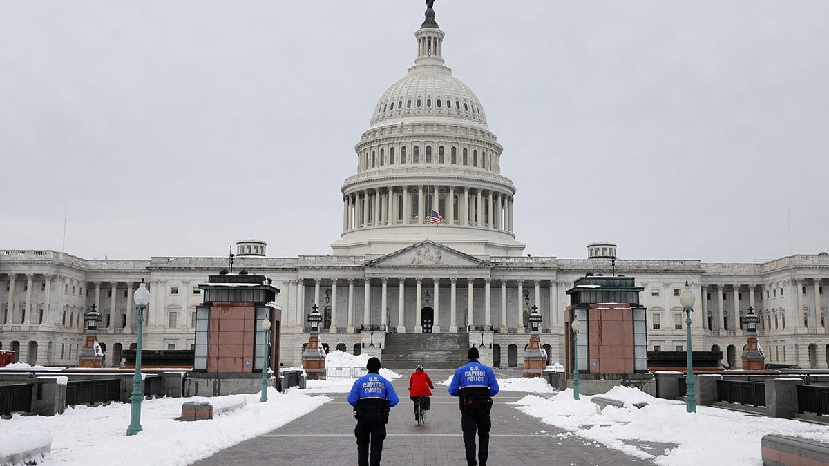 How America’s business leaders can better protect US democracy