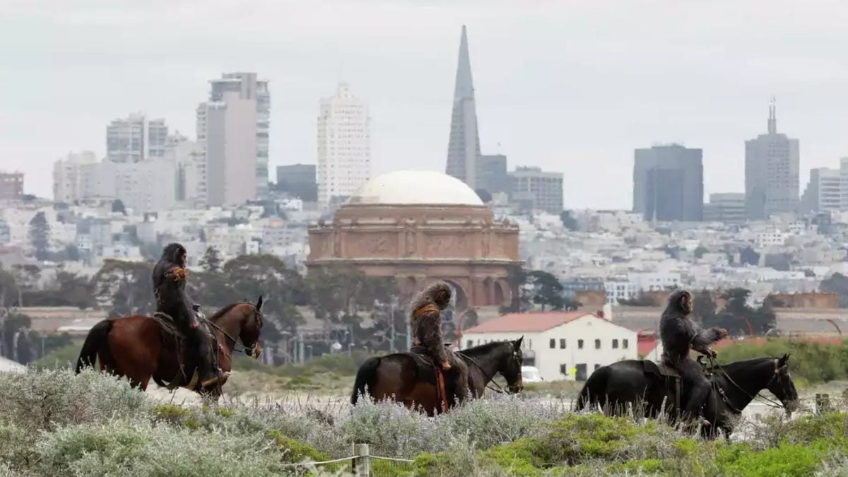 California Gets a Taste of What a Real Planet of the Apes Might Look Like