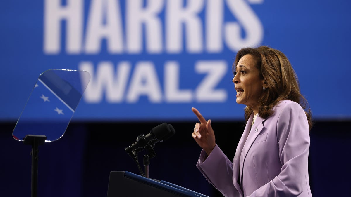 Kamala Harris’ economic plan combats Wall Street’s housing market attack