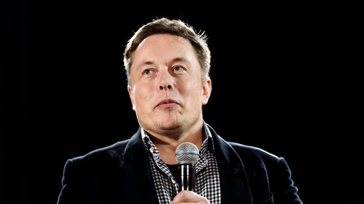 Elon Musk's Parents: Please Don't Let Our Grown Child Fight The Facebook Guy