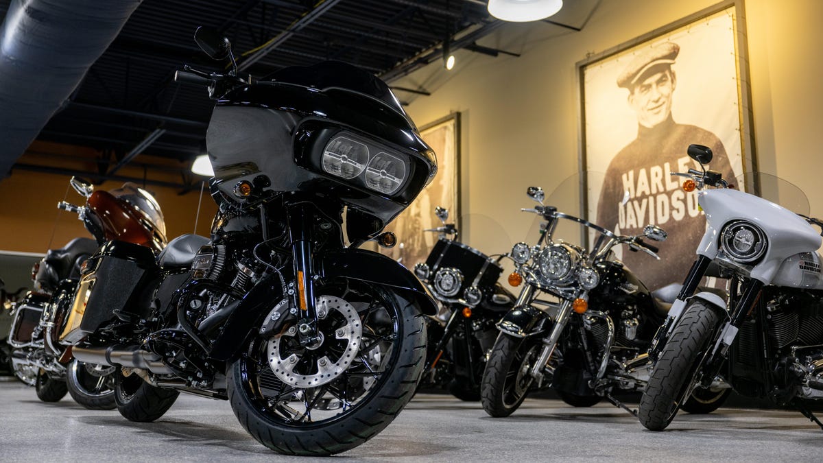 19,454 Harley Davidson Stock Photos, High-Res Pictures, and Images - Getty  Images