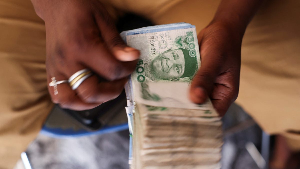 Nigeria's naira hit a historical plunge after being floated