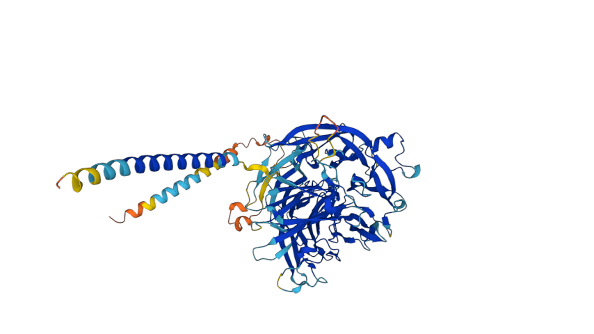 Deepmind's Releasing AI Predictions For Every Protein Known