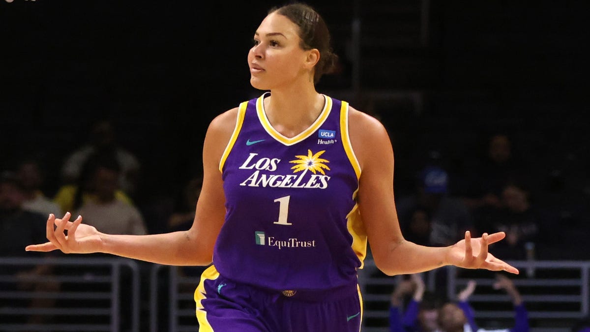 Sparks star Liz Cambage denies directing racial slur at Nigerian players  during pre-Olympics scrimmage 