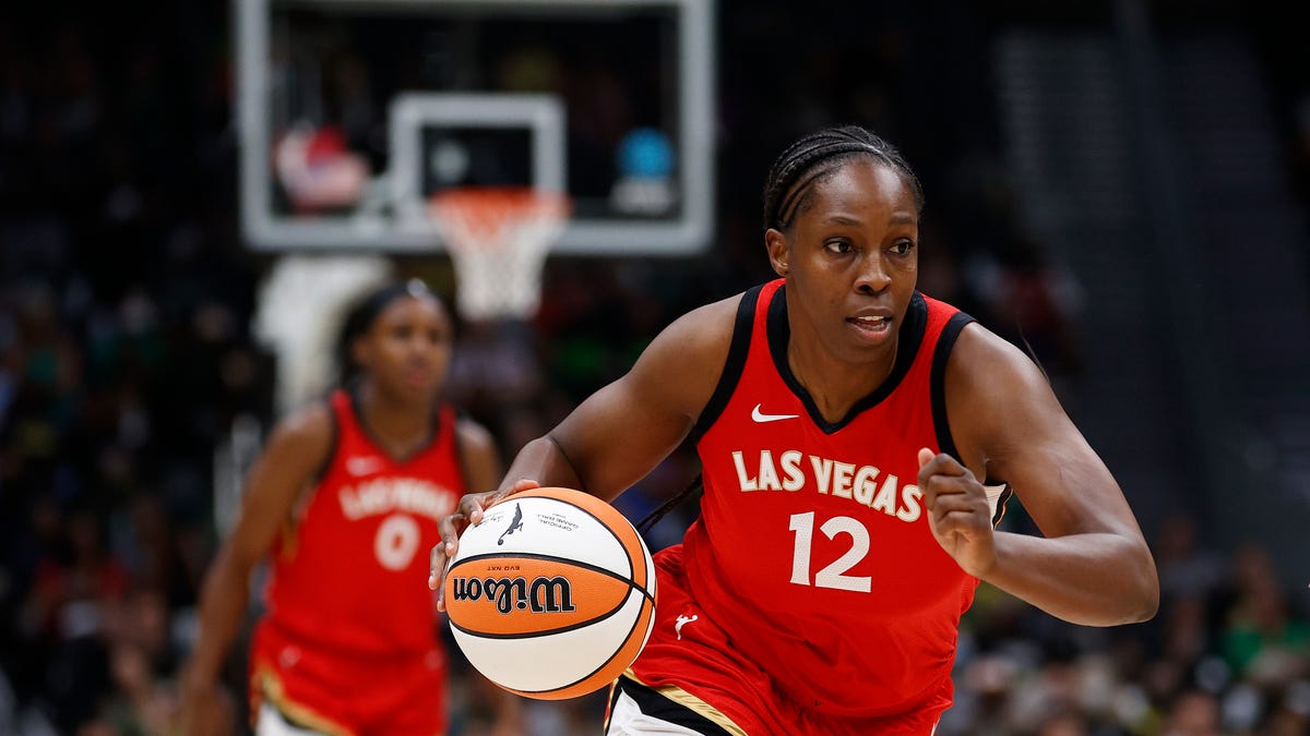 Las Vegas Aces' Chelsea Gray and Her Wife Are Expecting