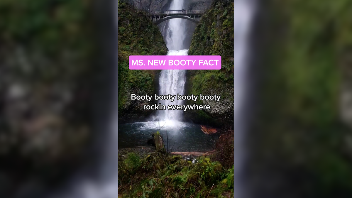 Ms. New Booty Fact: Did You Know?